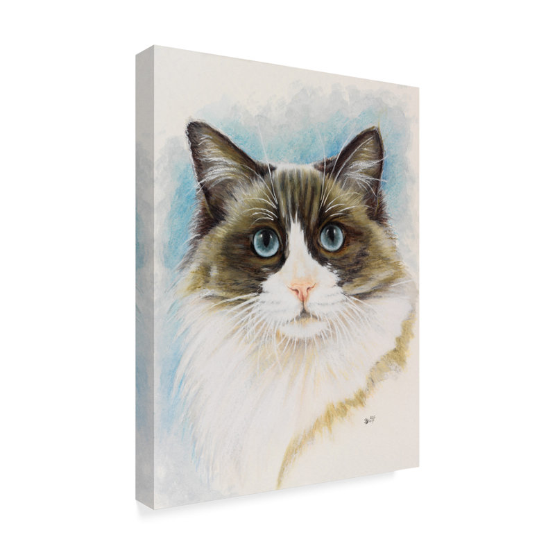 Trademark Art Ragdoll Portrait Oil Painting Print On Wrapped Canvas Wayfair