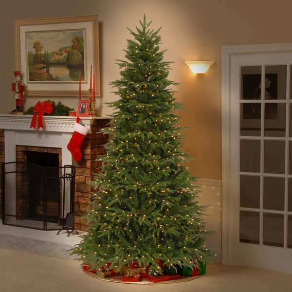 7.5' Green Artificial Christmas Tree with 800 Clear/White Lights & Reviews