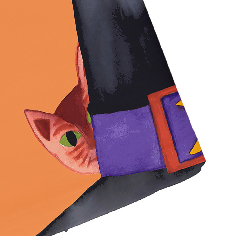 The Holiday Aisle Maser Cat Behind The Hat Halloween 4 Piece Napkin Set
