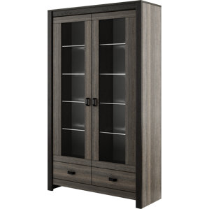 Dolloff 2 Door Wood Display Standard China Cabinet by Mercury Row