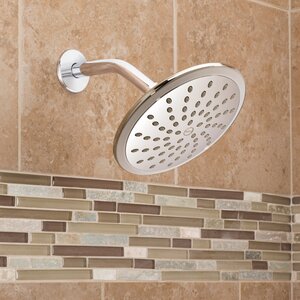 2 GPM Shower Head