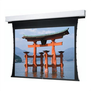 Tensioned Advantage Deluxe Electrol Electric Projection Screen