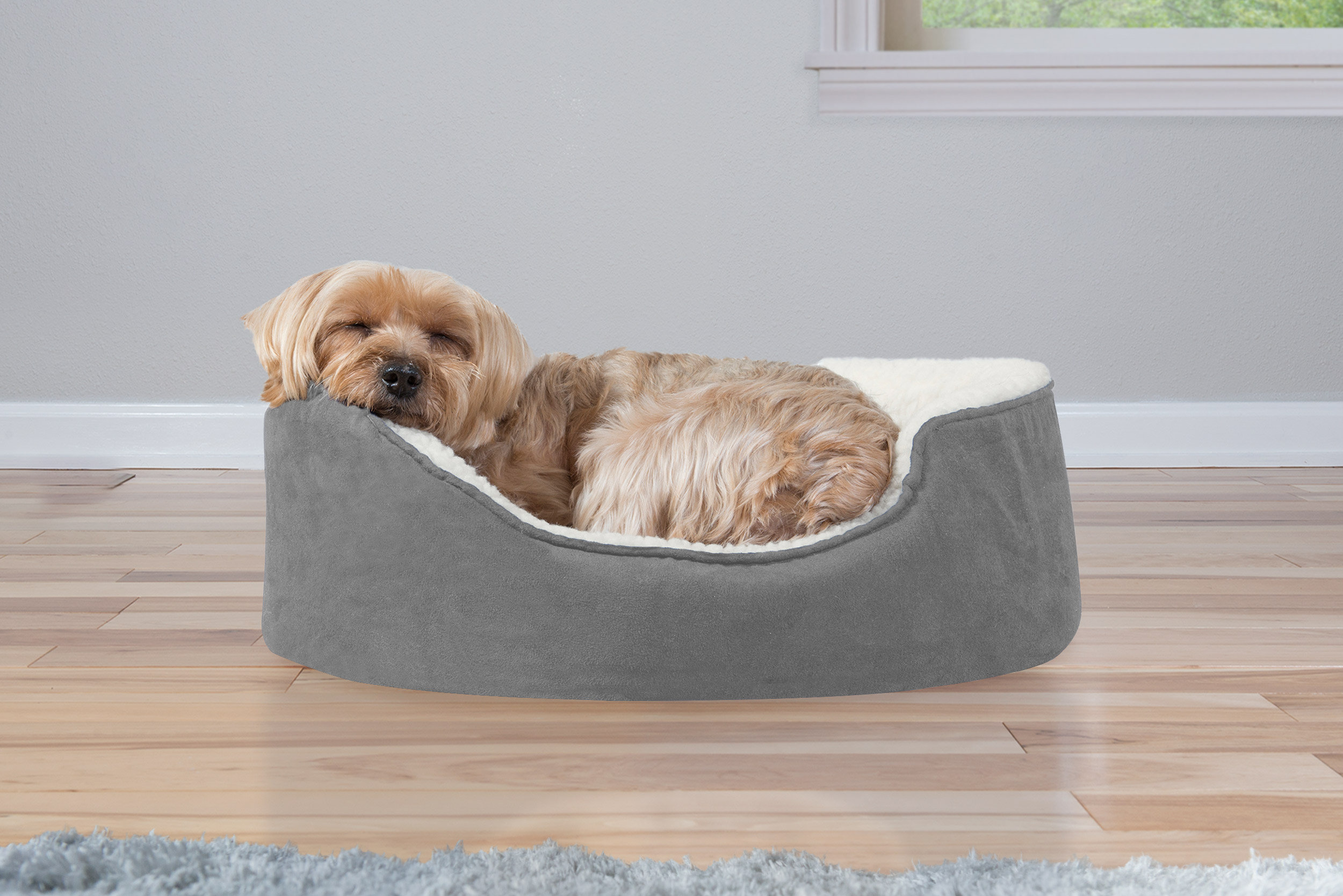 new dog bed