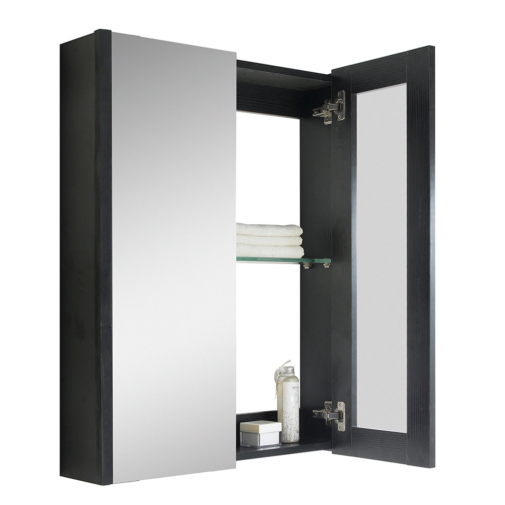 AllModern Ryker Surface Mount Framed 2 Door Medicine & Reviews