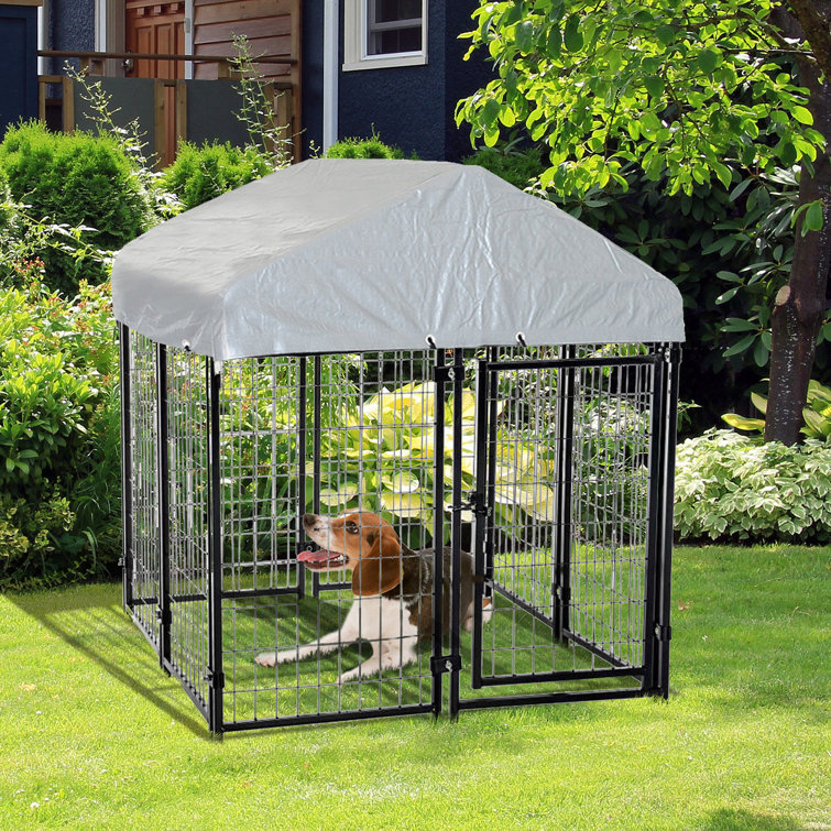 wayfair outdoor dog kennel