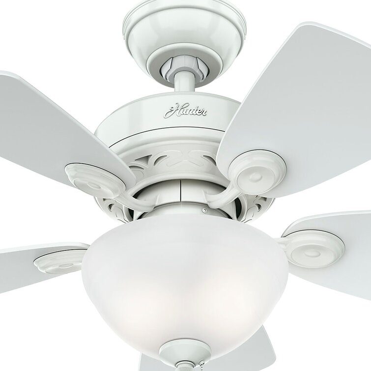 Hunter 52089 Watson 34-Inch Snow White Ceiling Fan with Five Snow White/Bleached Oak Blades and a Light Kit Hunter Fan 