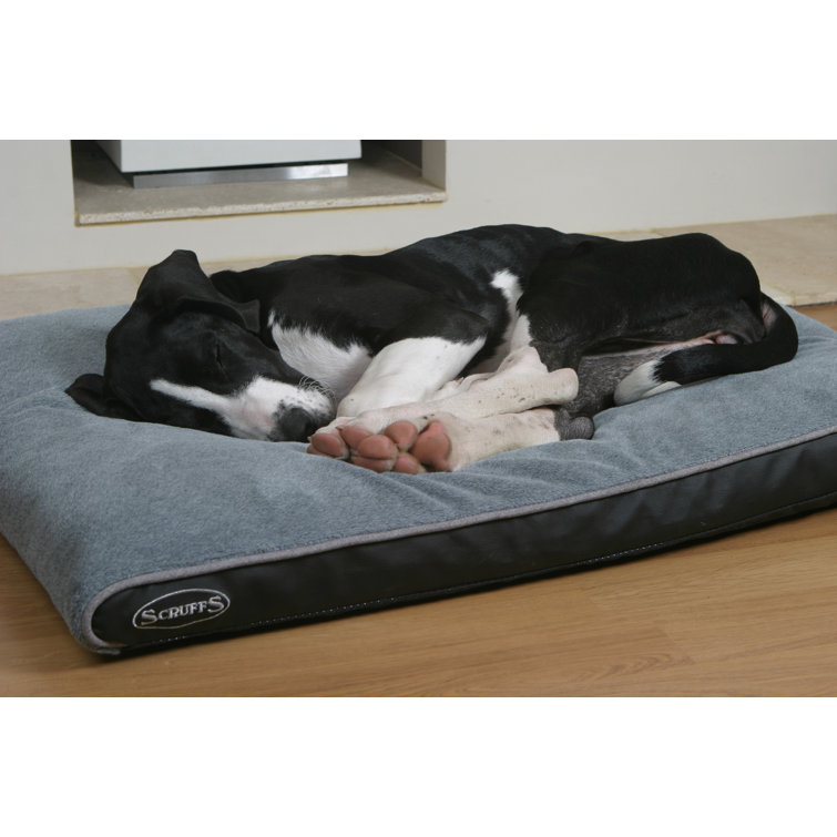 scruffs memory foam