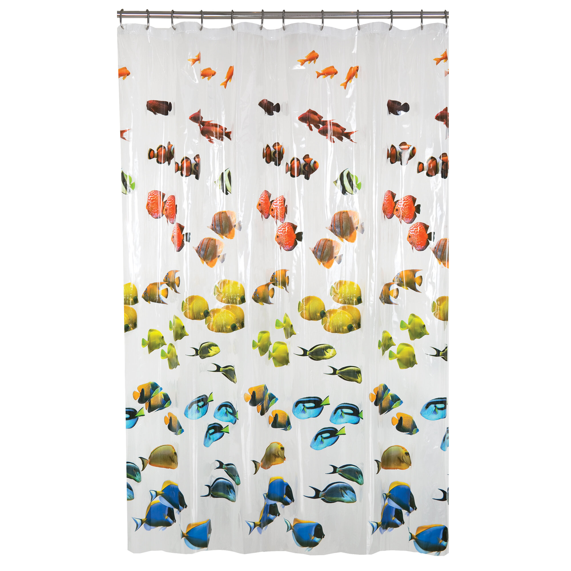 new shower curtain