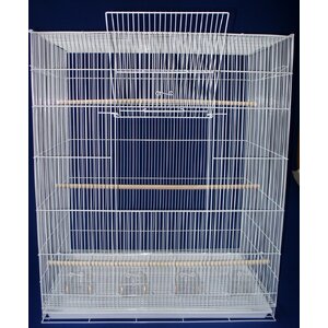 Large Bird Cage