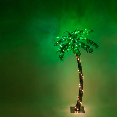 lit palm tree