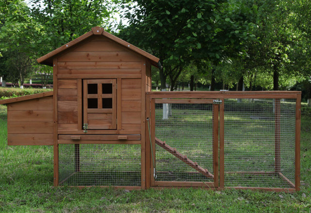 Chicken Coops You'll Love