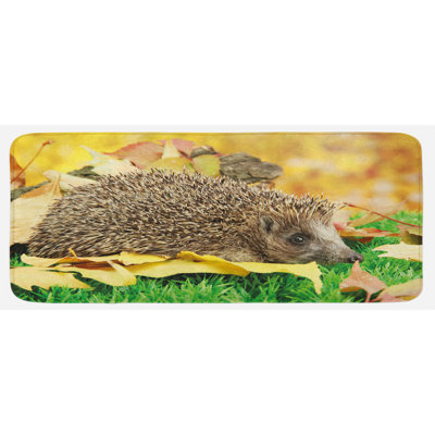Little Hedgehog On Autumn Leaves In Forest Scenes From World Brown Earth Yellow Green Kitchen Mat East Urban Home