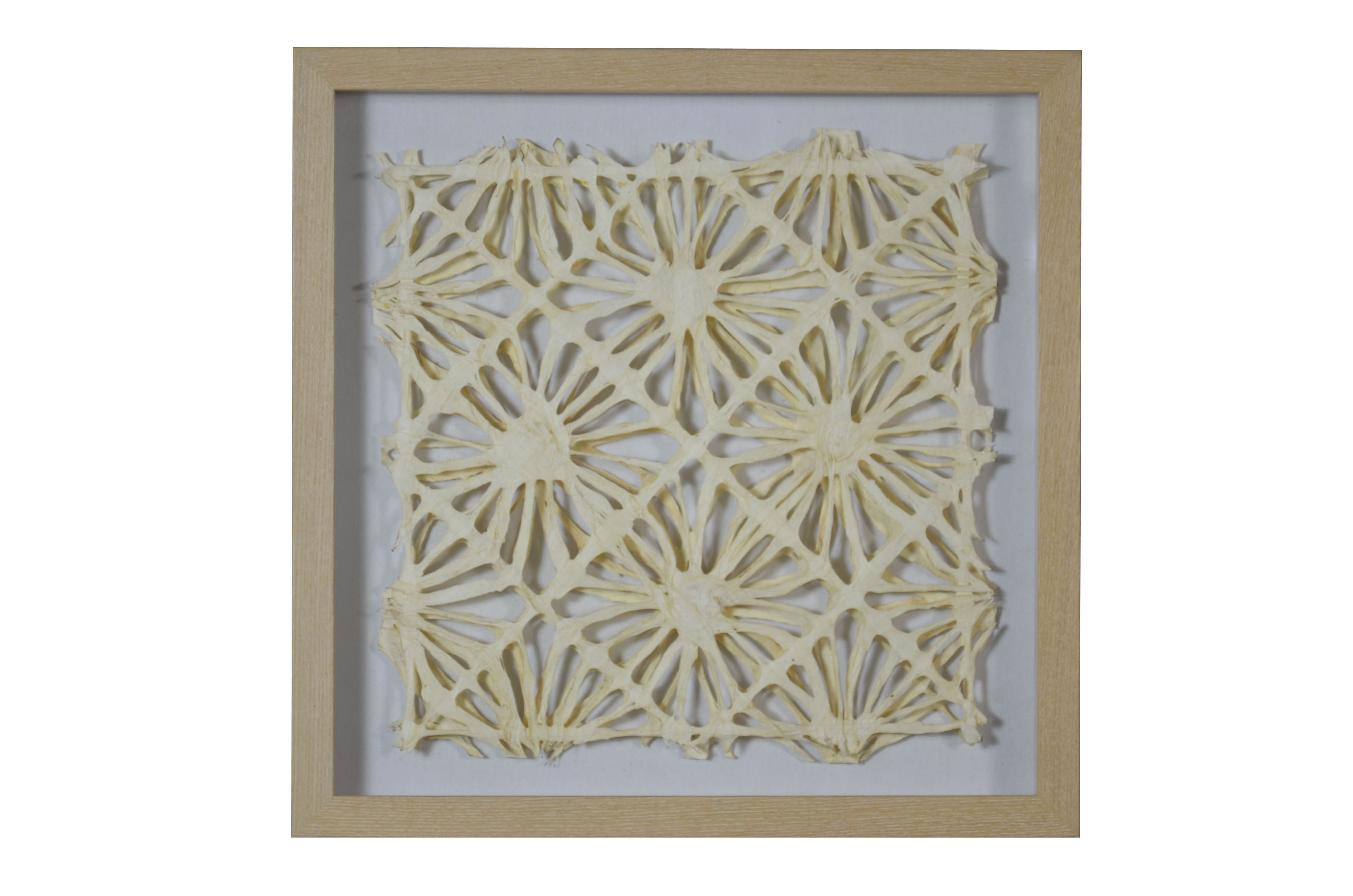 Gracie Oaks Superb Wood And Glass Shadow Box Wall Décor Wayfair