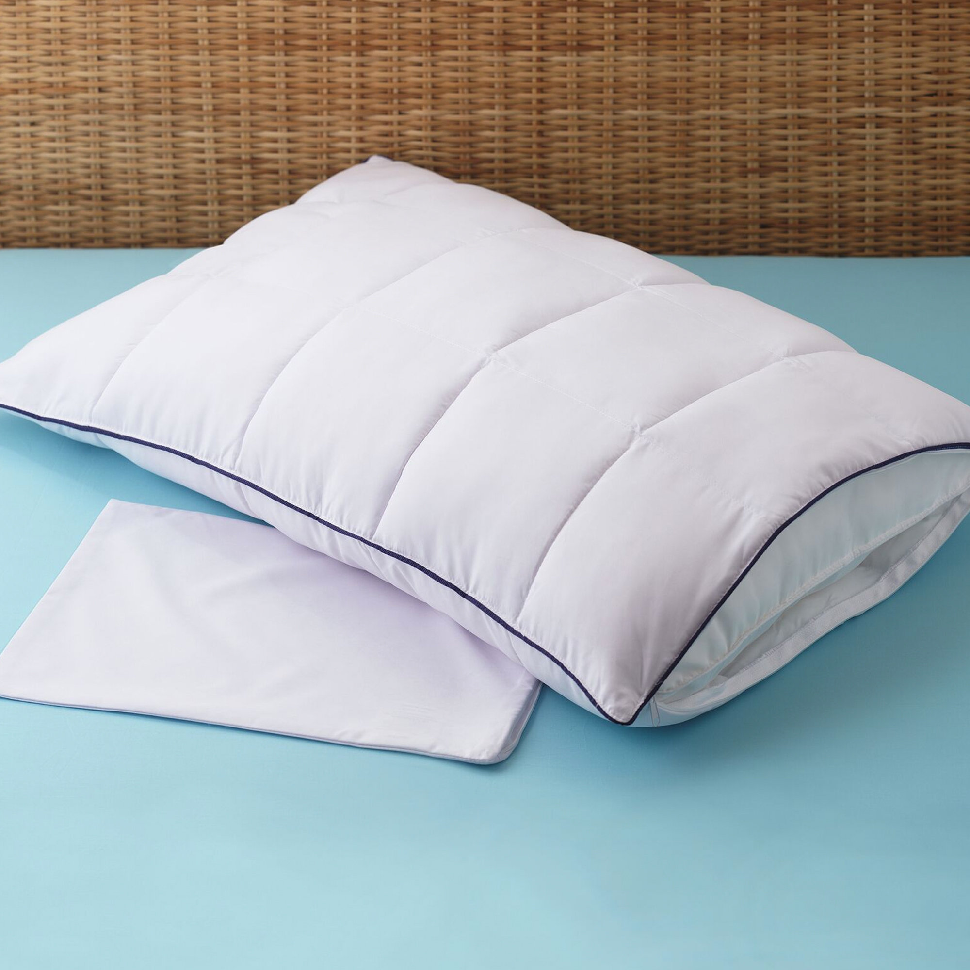 Alwyn Home Preston Micronone Allergy Free 2 In 1 Pillow Enhancer