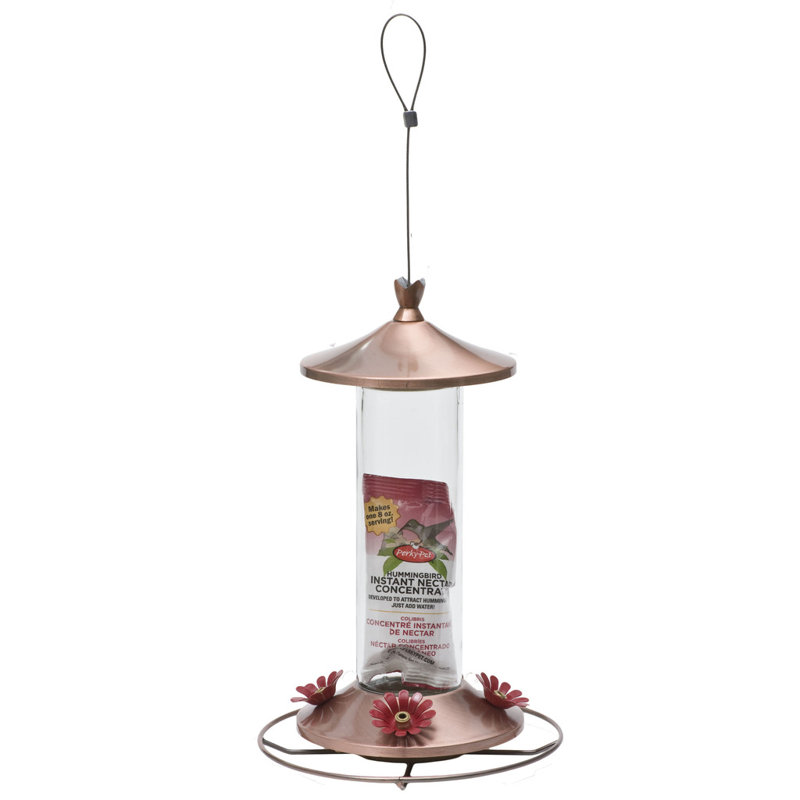 Perky Pet Elegant Copper Hummingbird Feeder Wayfair