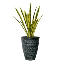 Flybold Indoor Outdoor 38 Inch Artificial Snake Plant w White Pot Black Stand 