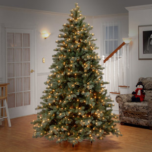 Tall Fake Tree Wayfair Colorado 7 5 Green White Spruce Trees Artificial Christmas Tree With 750 Incandescent Clear Lights Stand