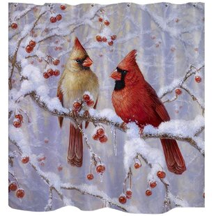 Bird Winter Cardinal Bird Watching Embroidered Iron On Patch 3"W