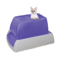 purple litter box