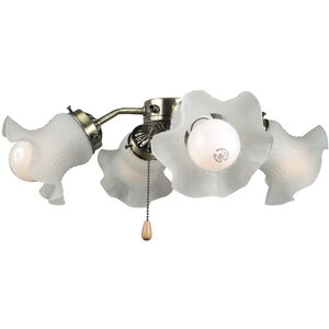 4-Light Branched Ceiling Fan Light Kit