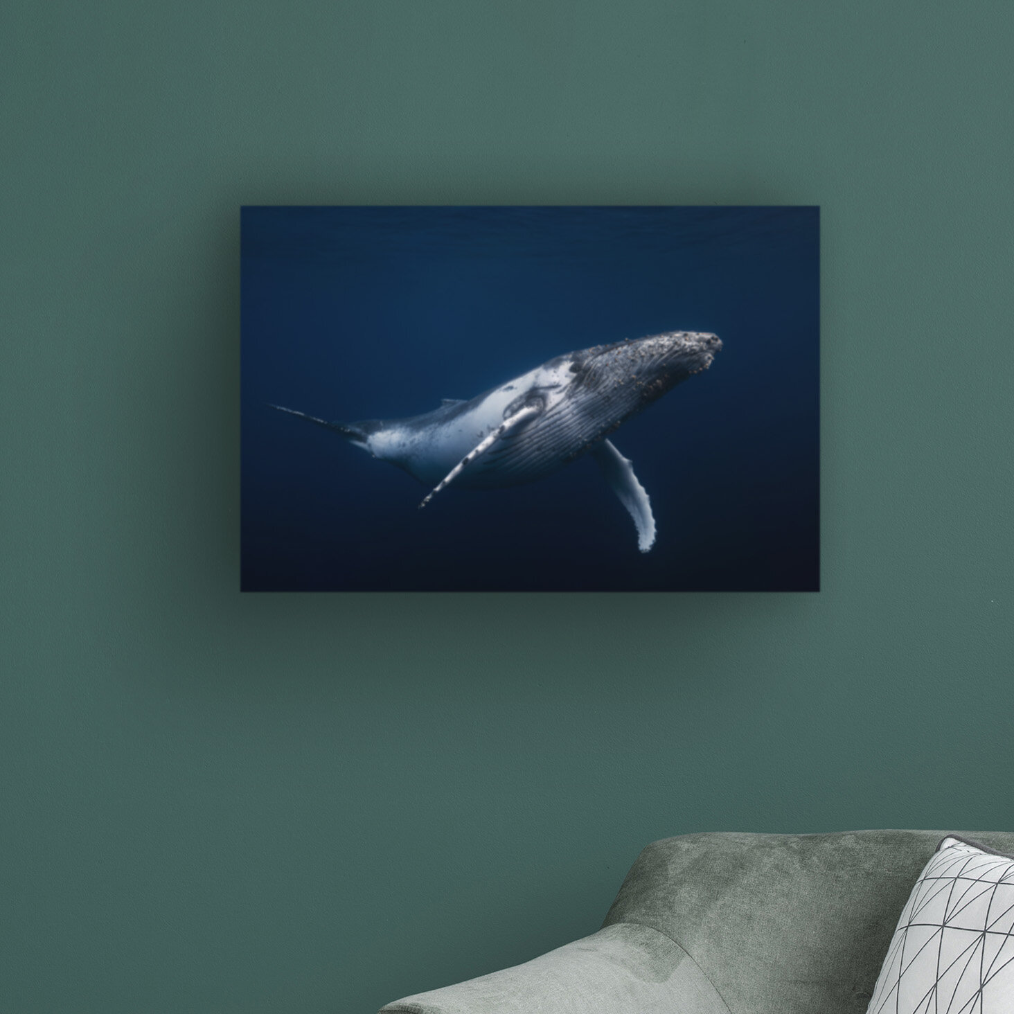 Highland Dunes Humpback Whale In Blue By Barathieu Gabriel Wrapped Canvas Photograph Wayfair