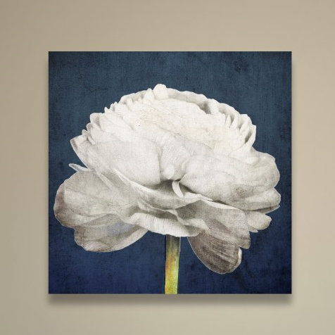 Willa Arlo Interiors Pretty View Floral And Botanical Art Framed