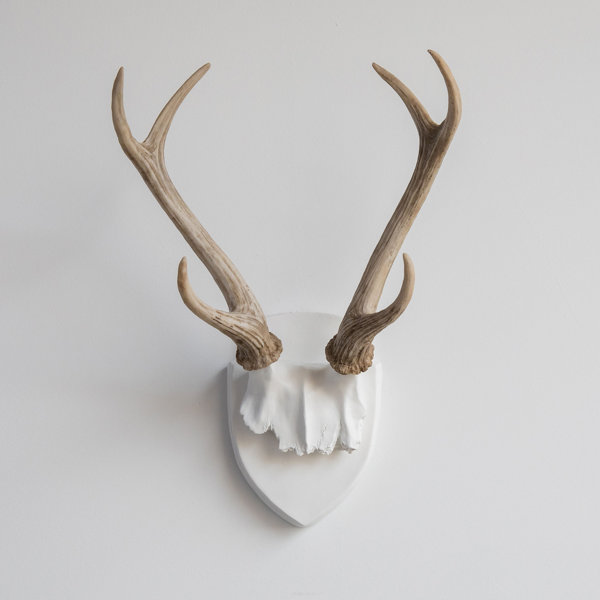 Deer Antlers Wall Decor | Wayfair