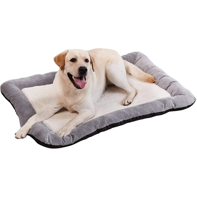 fluffy dog bed large
