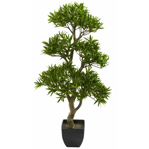 Charlton Home® Artificial Podocarpus Foliage Tree in Planter & Reviews ...