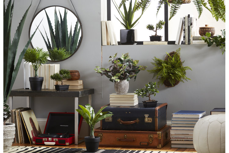 a wall decorated by several potted plants