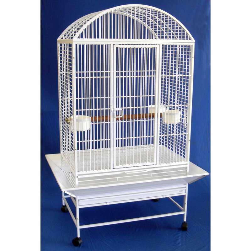 YML Wide Dome Top Parrot Bird Cage & Reviews | Wayfair