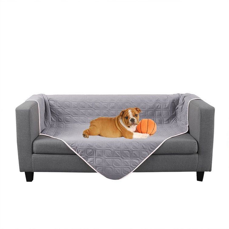 pet blanket for sofa