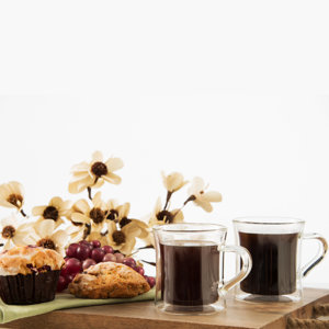 Double Wall Glass Diner Mug (Set of 2)