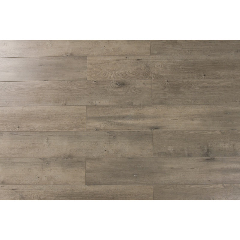 Serradon Trini 7 X 48 12mm Oak Laminate Flooring Reviews Wayfair