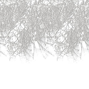 Halloween Spider Web Border