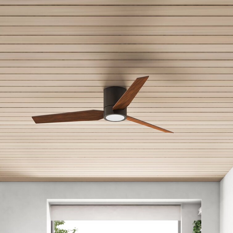 56 Jezebel 3 Blade Ceiling Fan Reviews Allmodern