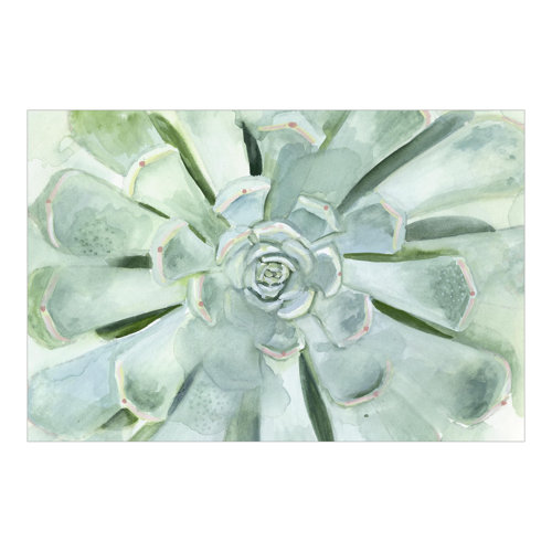 Light Watercolour Succulents 3.2m x 4.8m Textured Matt Peel & Stick Wall Mural East Urban Home