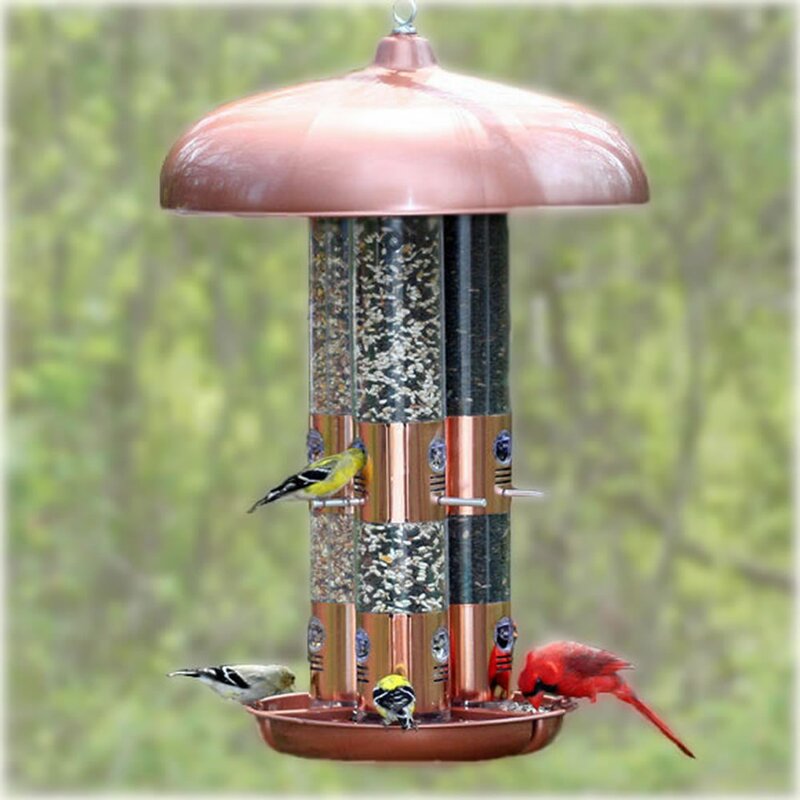 Perky Pet Bird Feeder Reviews Wayfair