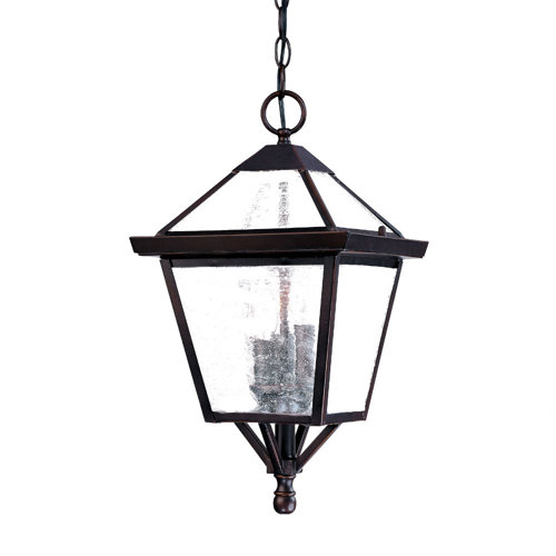 Darby Home Co Ernestine 1 Bulb 14 H Outdoor Hanging Lantern Reviews Wayfair
