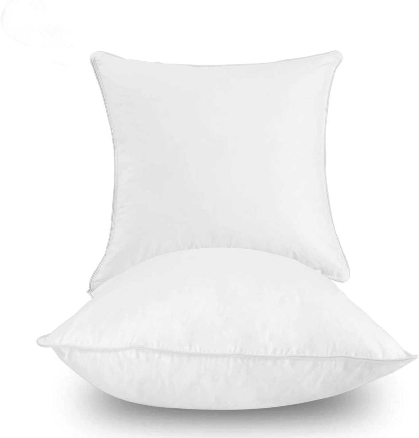 20 down pillow insert