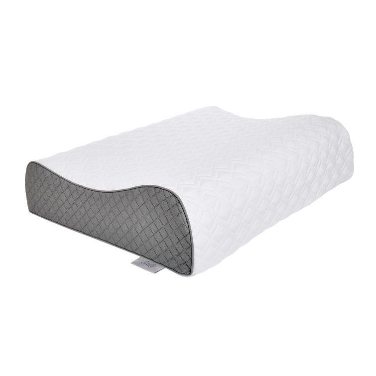 sealy foam pillow