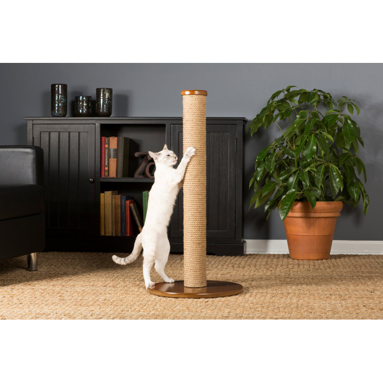 wayfair scratching post