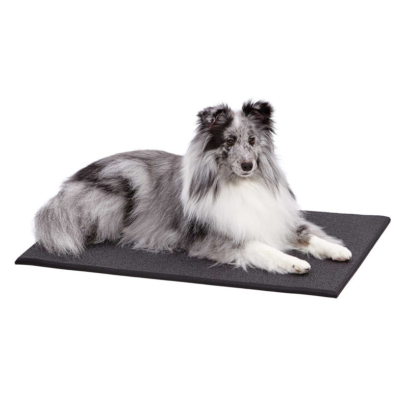 Tucker Murphy Pet Rosey Cushioned Crate Mat Reviews Wayfair