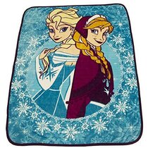 Light Blue Twin Size 60 by 80 inches Disney Princess Cinderella Little Friends Royal Plush Raschel Throw Blankets 