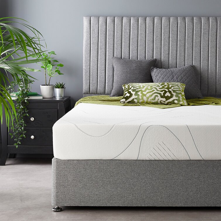 dream foam bedding