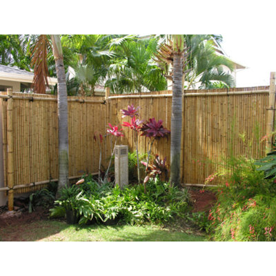 Tonkin Bamboo Fencing