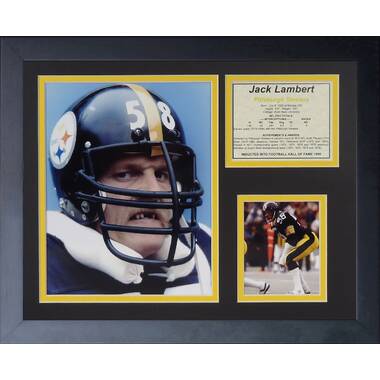 Lyle Alzado Framed Memorabilia Trinx