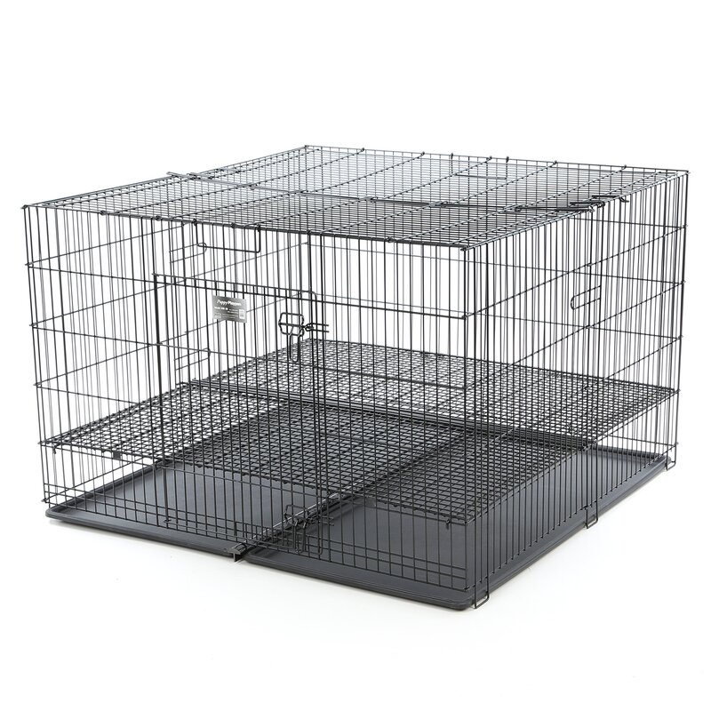 kennel pan