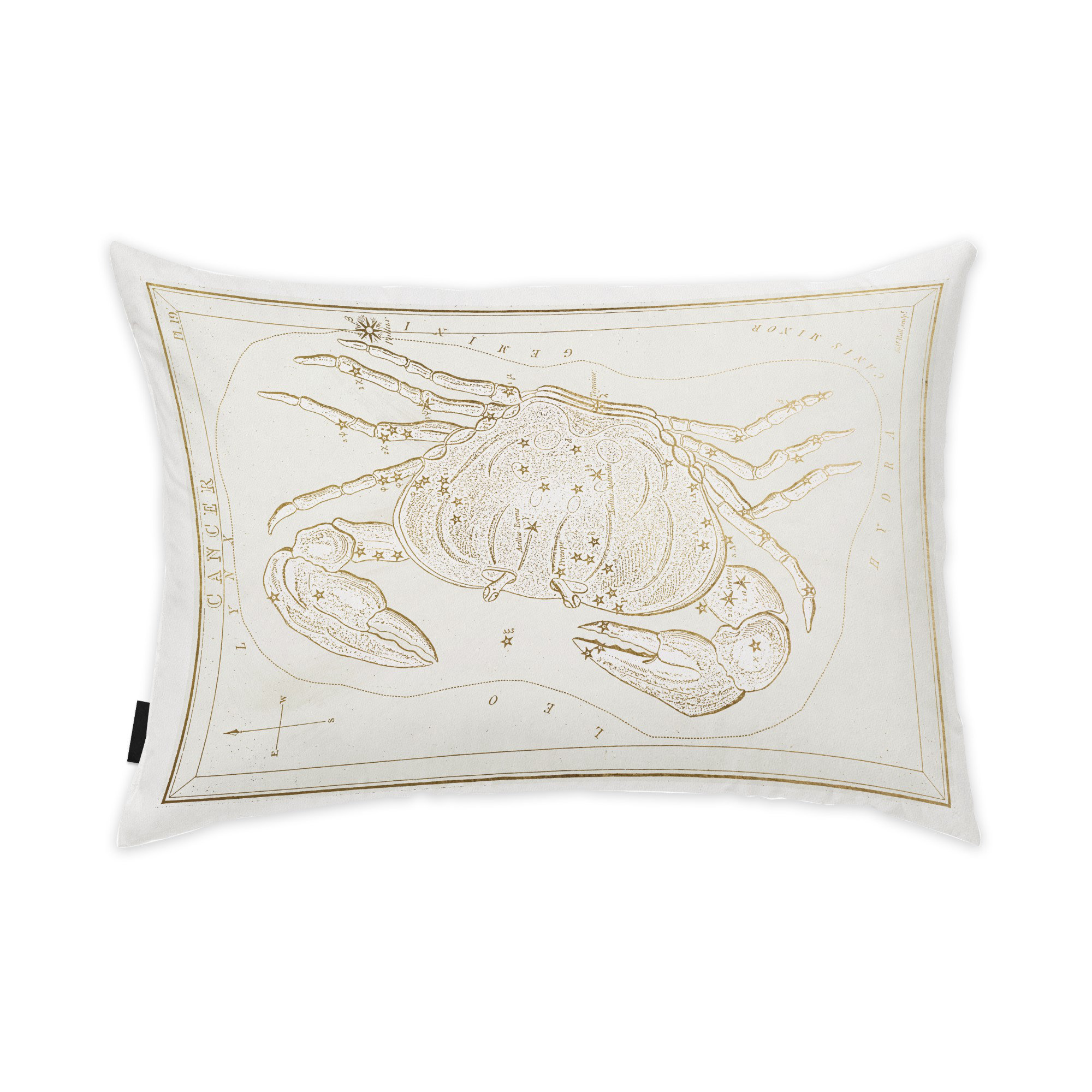 Trinx Zodiac Rectangular Pillow Cover & Insert Wayfair