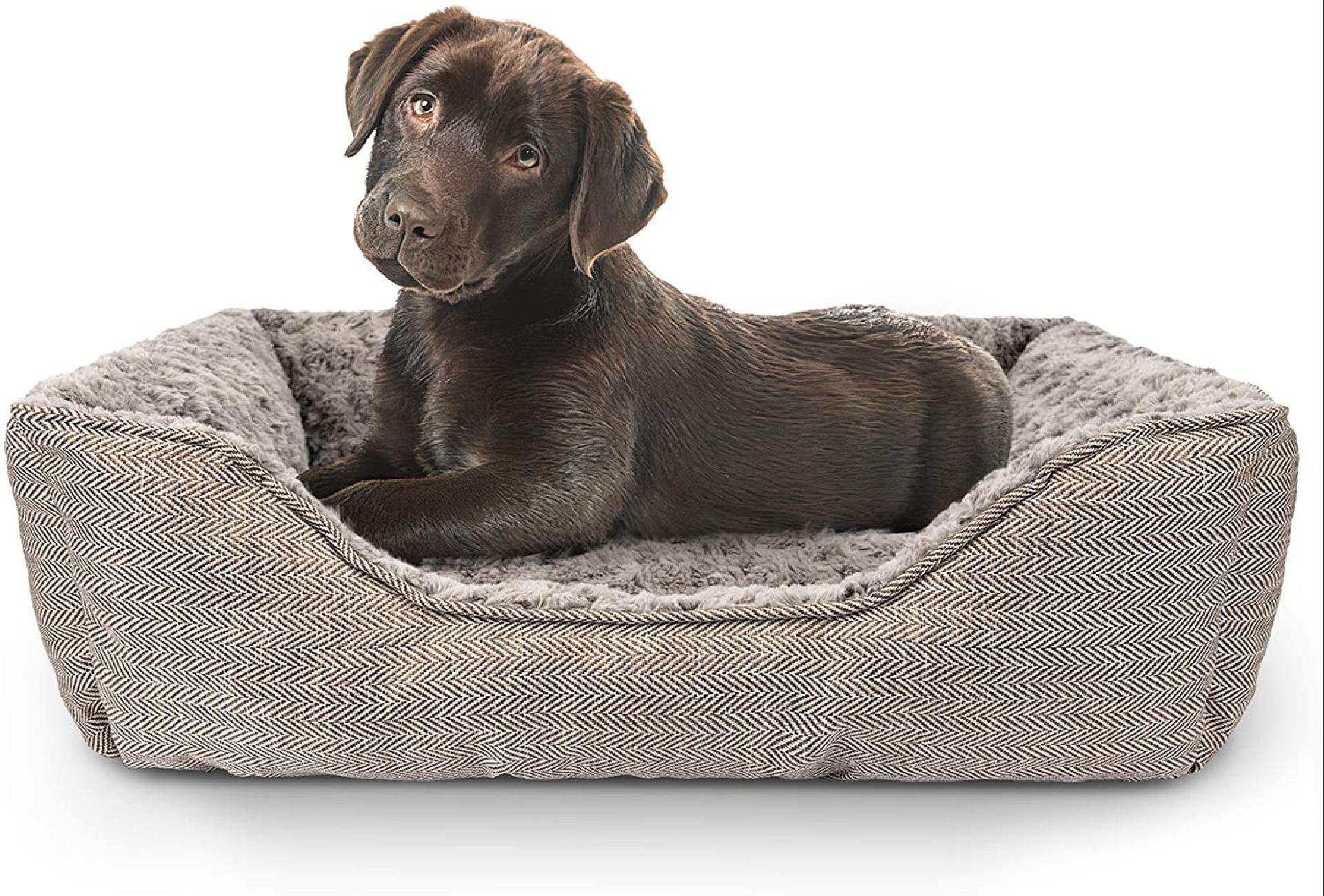 Large durable dog bed Clearance